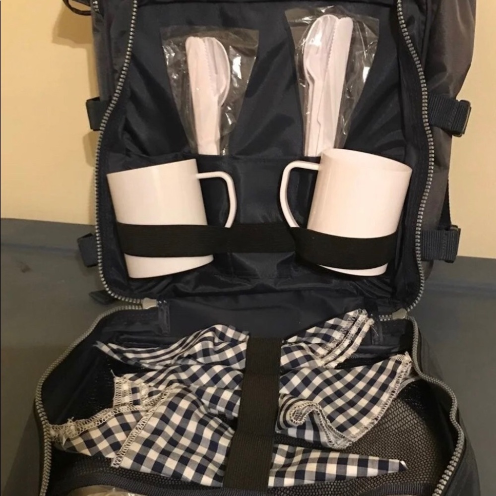 Picnic set in insulated backpack 2 dishes,napkins,cups &utensils NWT